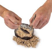 National Geographic Dino Fossil Dig Kit by Playzokids showing colorful excavation tools and fossil replicas on a white background.