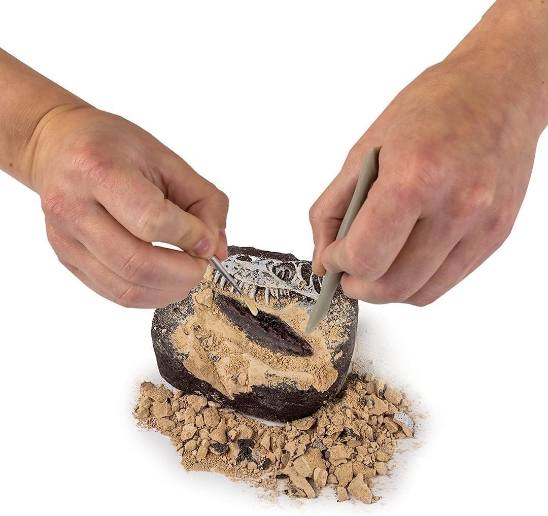 Multicolor Dino Fossil Dig Kit by Playzokids featuring tools, excavation blocks, and fossil replicas for educational fun.