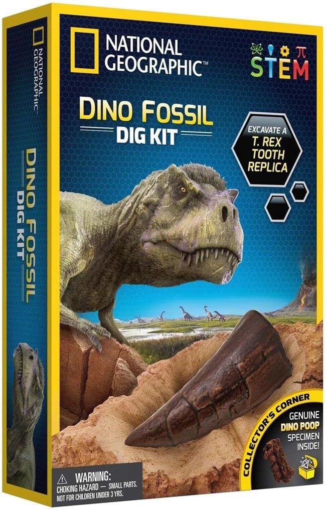 Multicolor Dino Fossil Dig Kit by Playzokids featuring tools and fossils for educational dinosaur excavation activities.