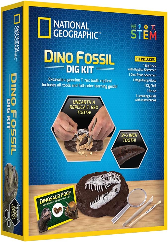 Multicolor Dino Fossil Dig Kit by Playzokids featuring excavation tools and fossil replicas for educational fun.
